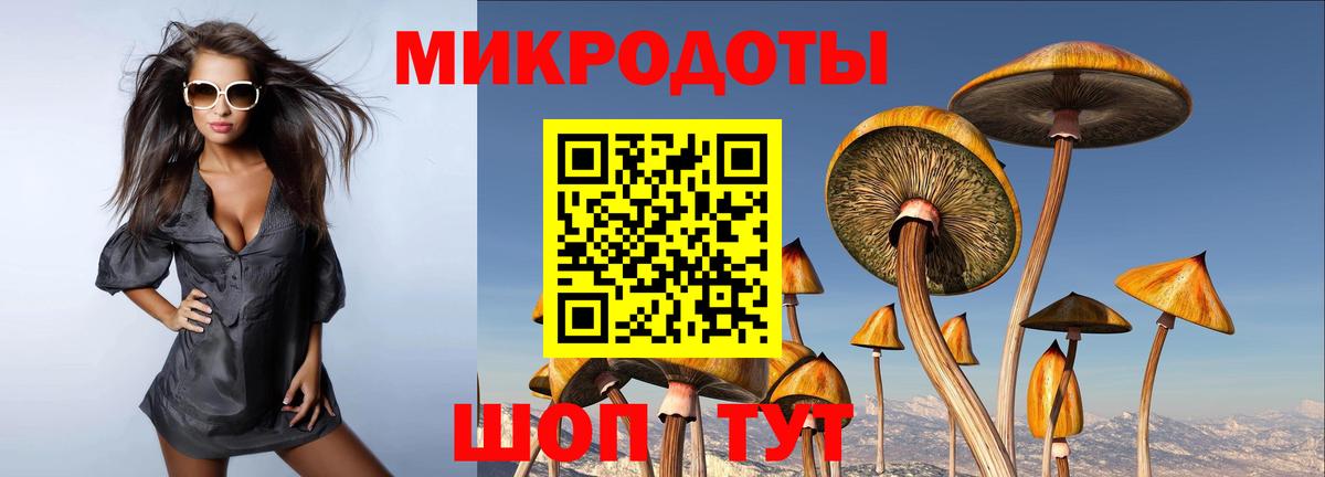 Псилоцибиновые грибы Psilocybe Рославль